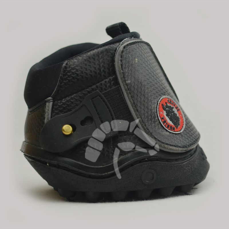 Equine Fusion Shoe Active slim Preis pro Paar